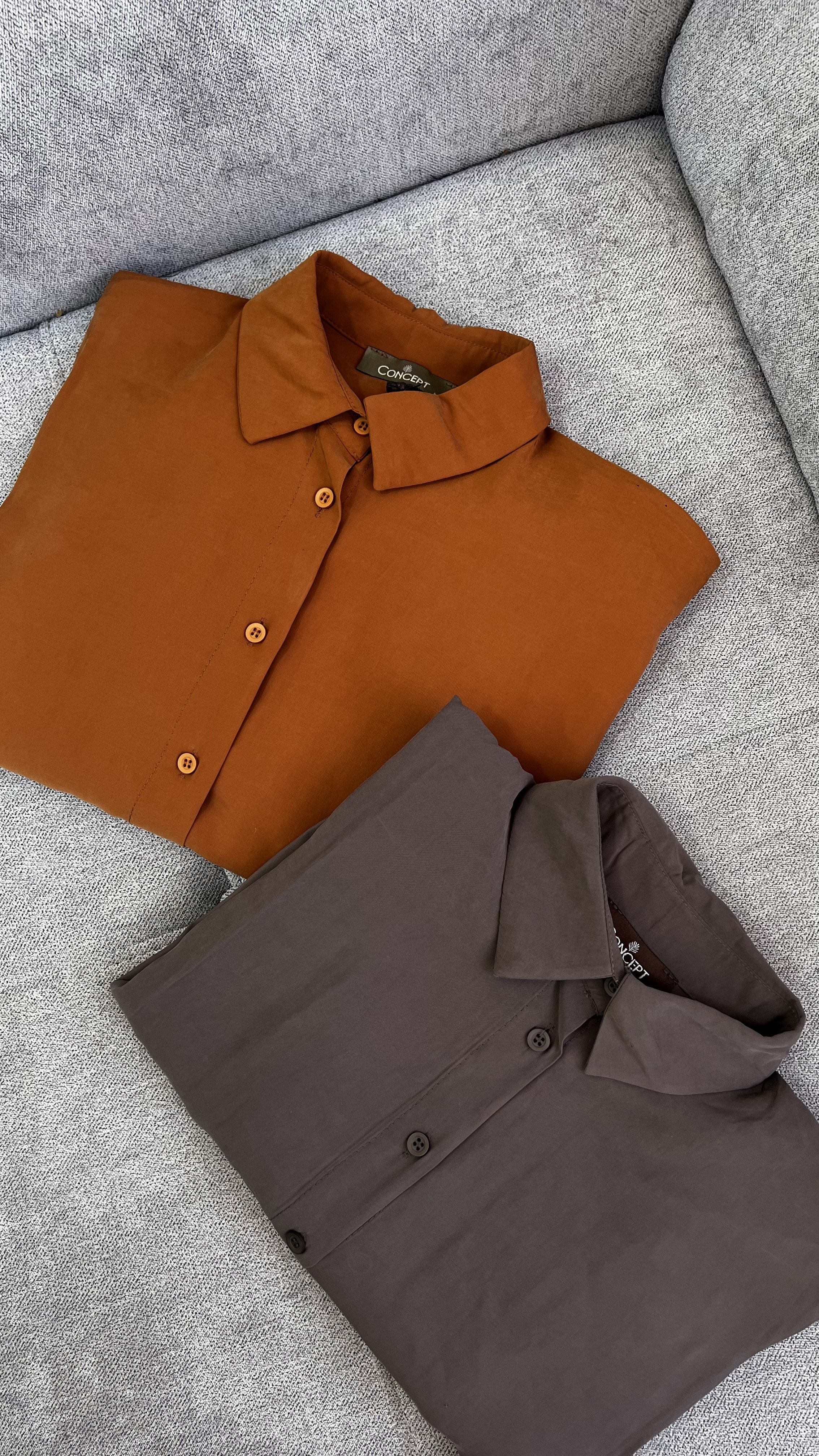 Chemises couleur